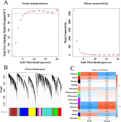 Identification of oxidative stress-related biomarkers in uterine leiomyoma: a transcriptome-combined Mendelian randomization analysis